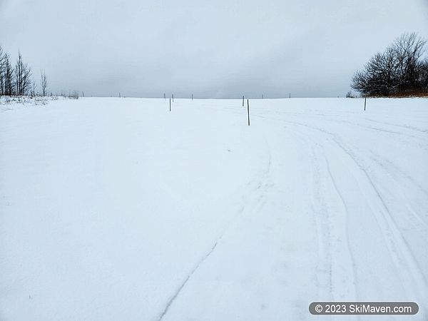Cross-country ski tracks in a field