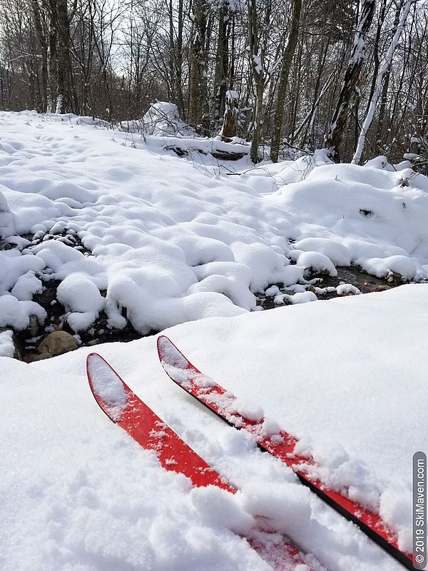 Photo of red skis next to a small stream with rocks