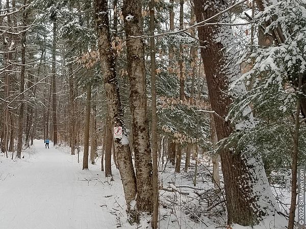 A snowy Nordic ski trail through the woods with a skier in distance