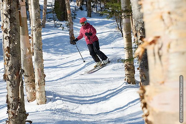 Photo of skier negotiating the trees in Tumbler Woods.