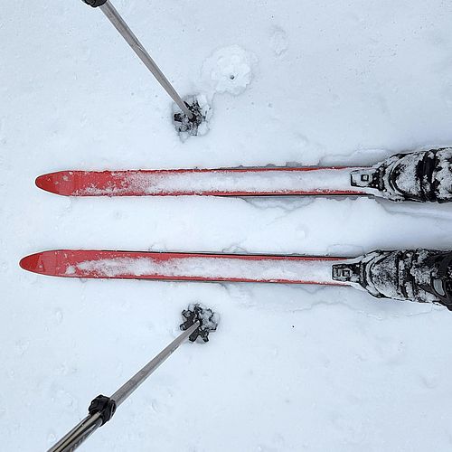 Photo of poles and skis with 3-pin bindings in shallow spring snow