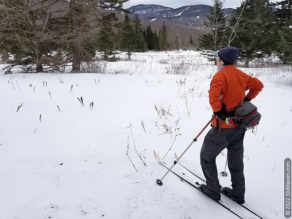 Skier looks at view of wetlands and distant mountains