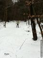 Stowe Mtn. Resort nordic trails.