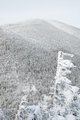 A view from the Stowe View lookout
