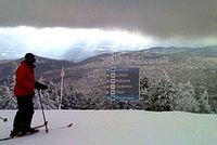 Stowe Front Four photo