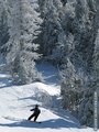 Snowboarding at Vermont's Bolton Valley Ski Resort