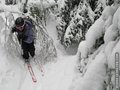 Ice coats the trees on the backcountry trails at Bolton Valley