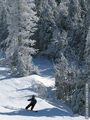 Snowboarding at Vermont's Bolton Valley Ski Resort