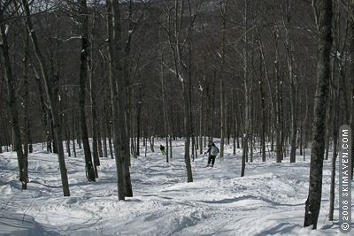 bolton-valley-ski-glades.jpg