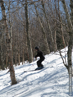 Skiing the trees at Jay Peak