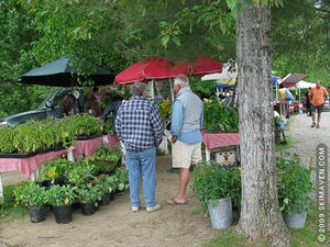 Farmers market in Stowe, Vermont
