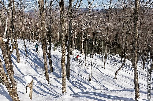 Deals on lift tickets at Burke Mountain, Vermont Photo of two skiers skiing through the trees at Burke
