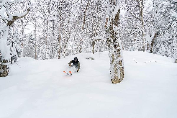 Photo of skier bashing through some powder