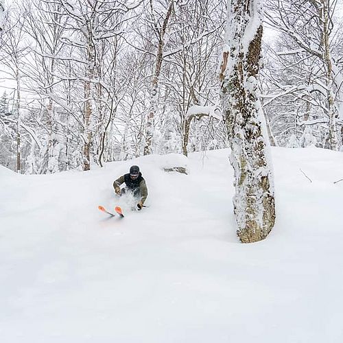 Photo of skier bashing through some powder