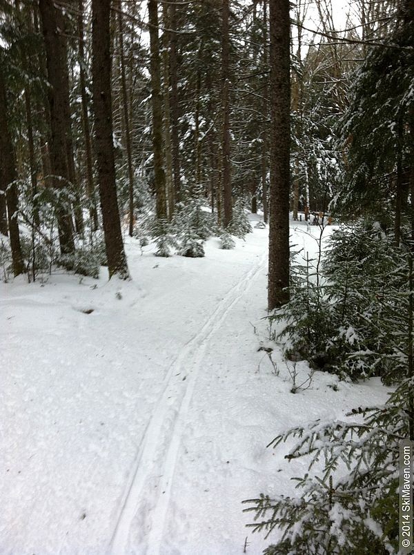 Skiing in Wiessner Woods in Stowe