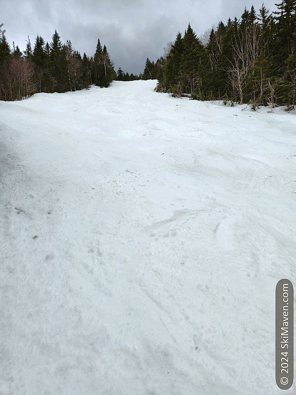 Looking up a bump run with good snow coverage