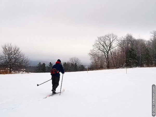 Photo of skier striding across a field with trees in distance