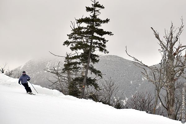 Skiing down Upper Rumrunner