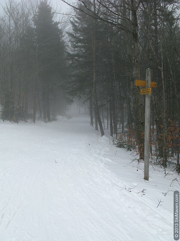 Good snow coverage for cross-country skiing