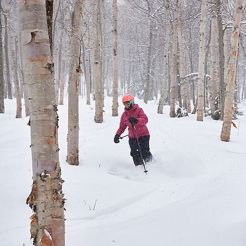 Photo of skier turning in fresh snow in the glades