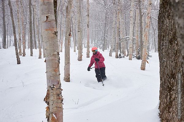 Photo of skier turning in fresh snow in the glades