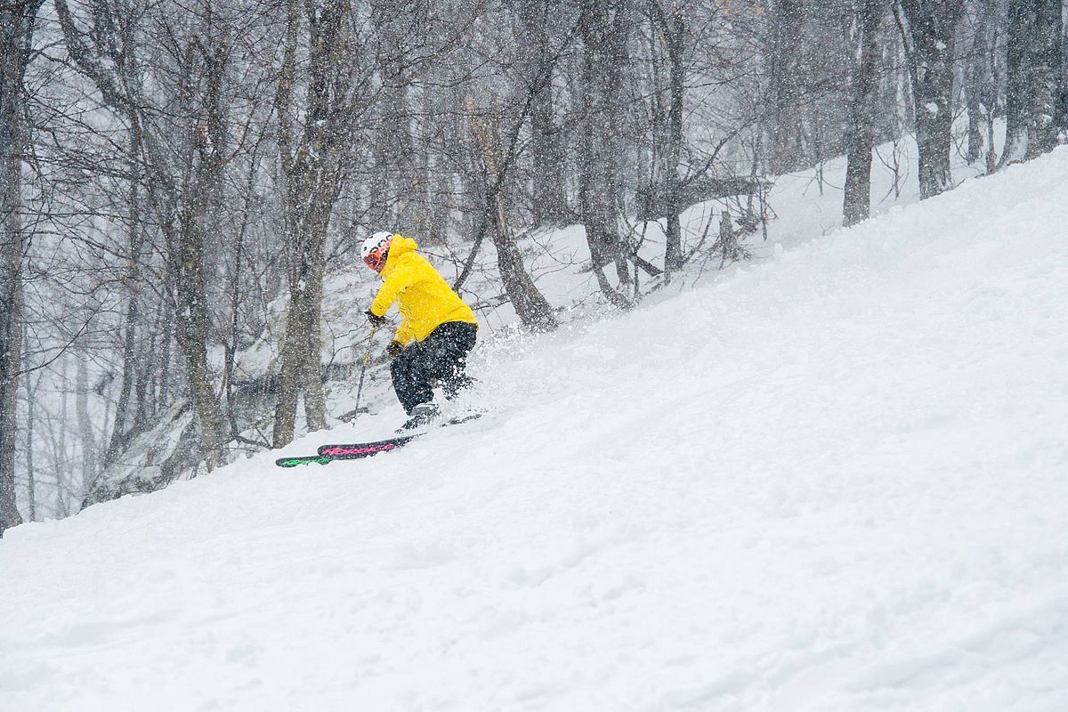 Snow hits Vermont Southern Vermont is the big winner SkiMaven