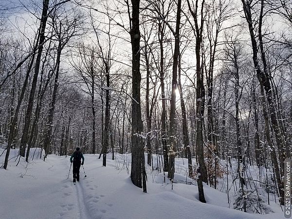 Photo of ski touring in the woods ski tour on February 21