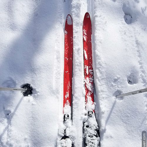 Photo of red skis in fluffy, white snow