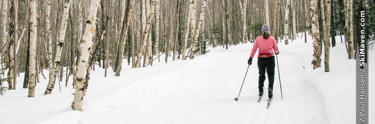Woman cross-country skiing surrounded by hardwood trees