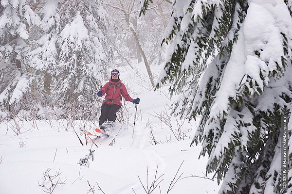 Photo of skier turning in snow with hobble brush sticking out