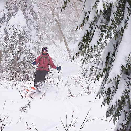 Photo of skier turning in snow with hobble brush sticking out