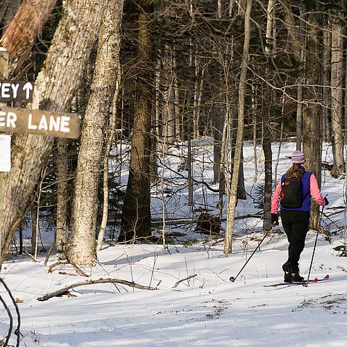 Stowe Resort Cross-Country skiing