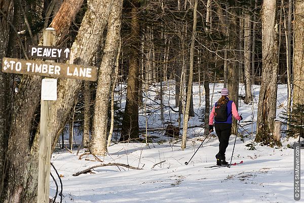 Stowe Resort Cross-Country skiing