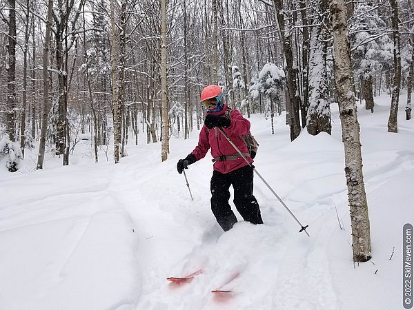 Skier plows through powder snow
