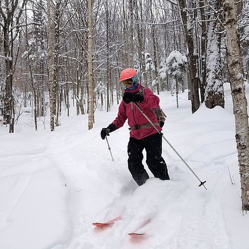 Skier plows through powder snow