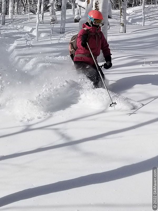 Skier makes a turn in the powder