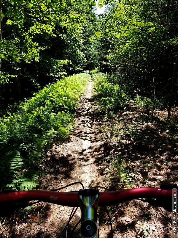 Biking in Mad River Valley, Vermont