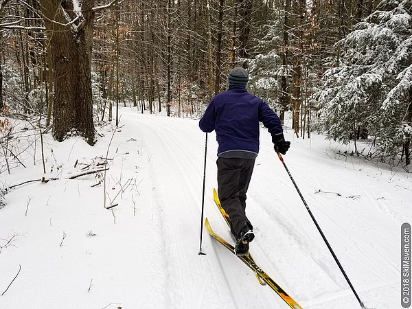 Cross-country skiing in northern Vermont.