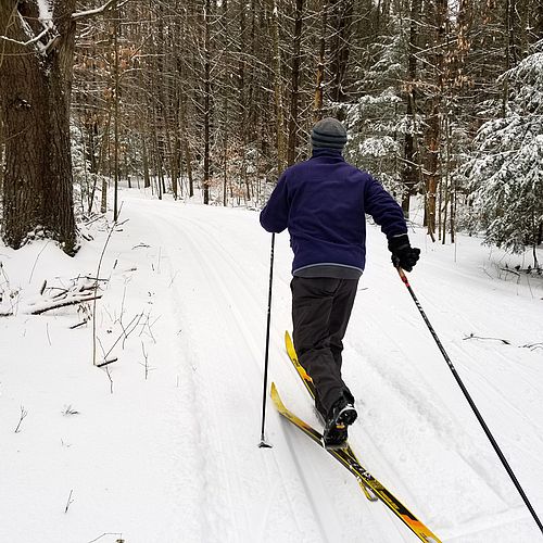 Cross-country skiing in northern Vermont.