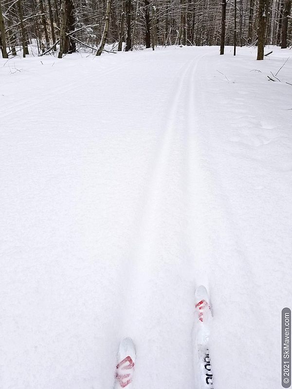 Photo of cross-country skiing in fluffy snow on March 3