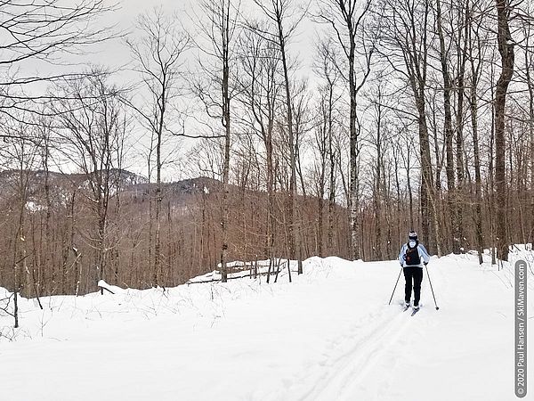 Photo of cross-country skier and view of mountains past the hardwood trees