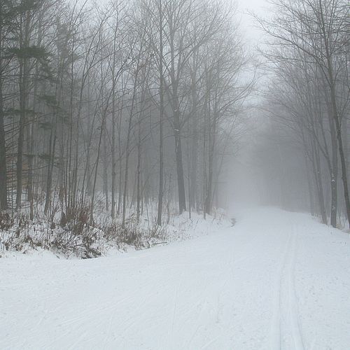 Foggy on cross-country skiing trails at Trapp Family Lodge