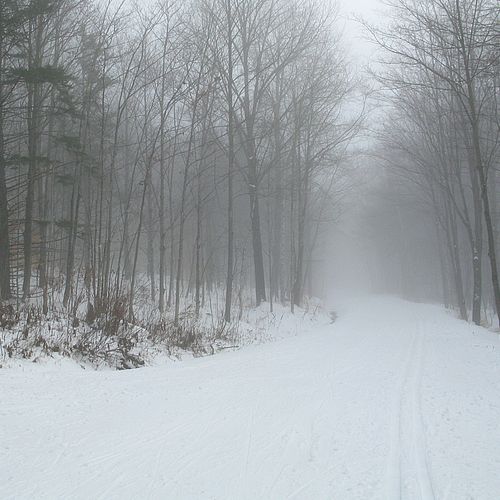 Foggy on cross-country skiing trails at Trapp Family Lodge Foggy on cross-country skiing trails at Trapp Family Lodge