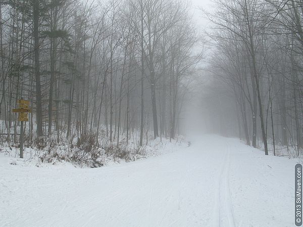 Foggy on cross-country skiing trails at Trapp Family Lodge