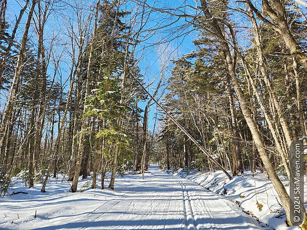 A groomed cross-country ski trail in the woods