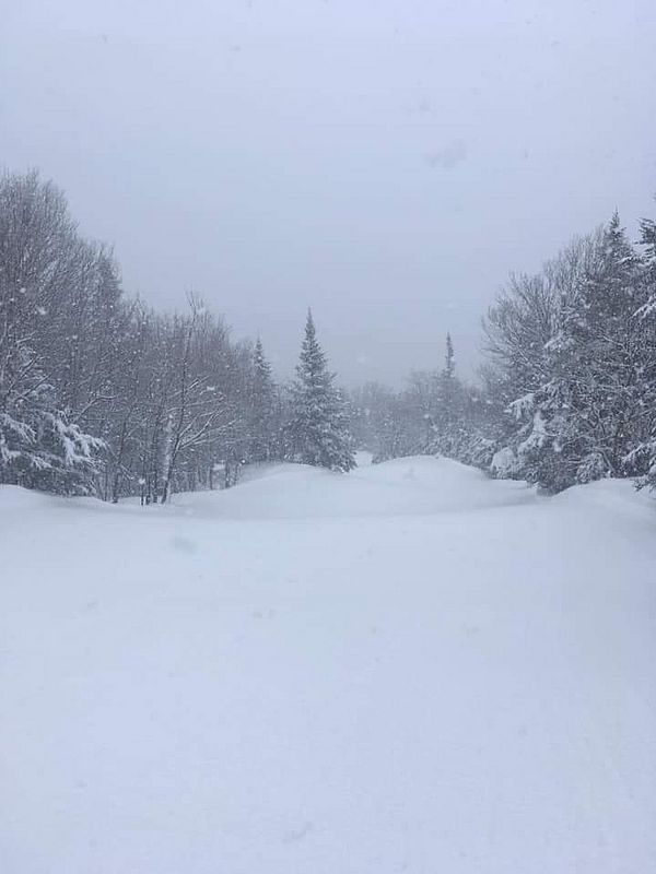 Photo that looks up at a snowy ski slope