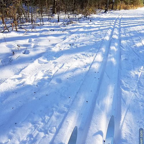 Photo of classic ski tracks and the tips of skis