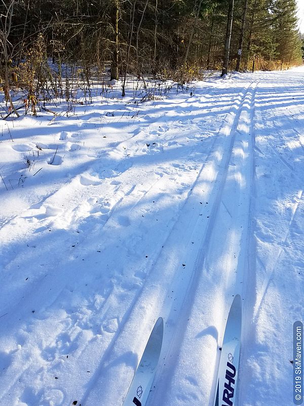 Photo of classic ski tracks and the tips of skis