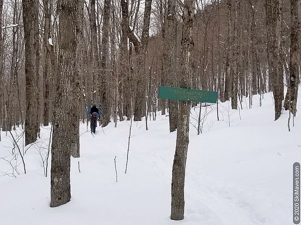 Photo of Nordic skier passing sign that says "Entering Huntington Town Forest"