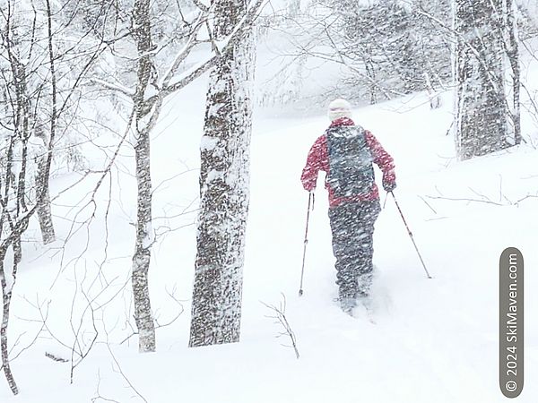 Skier skins up the hill as the snow falls